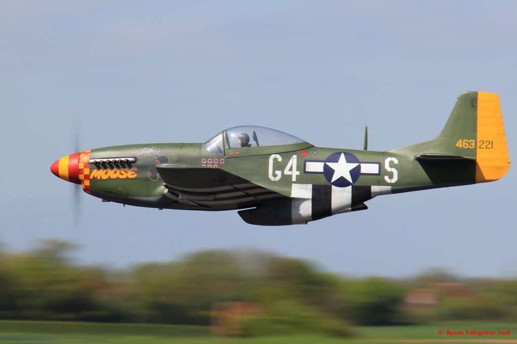 p51low1.jpg