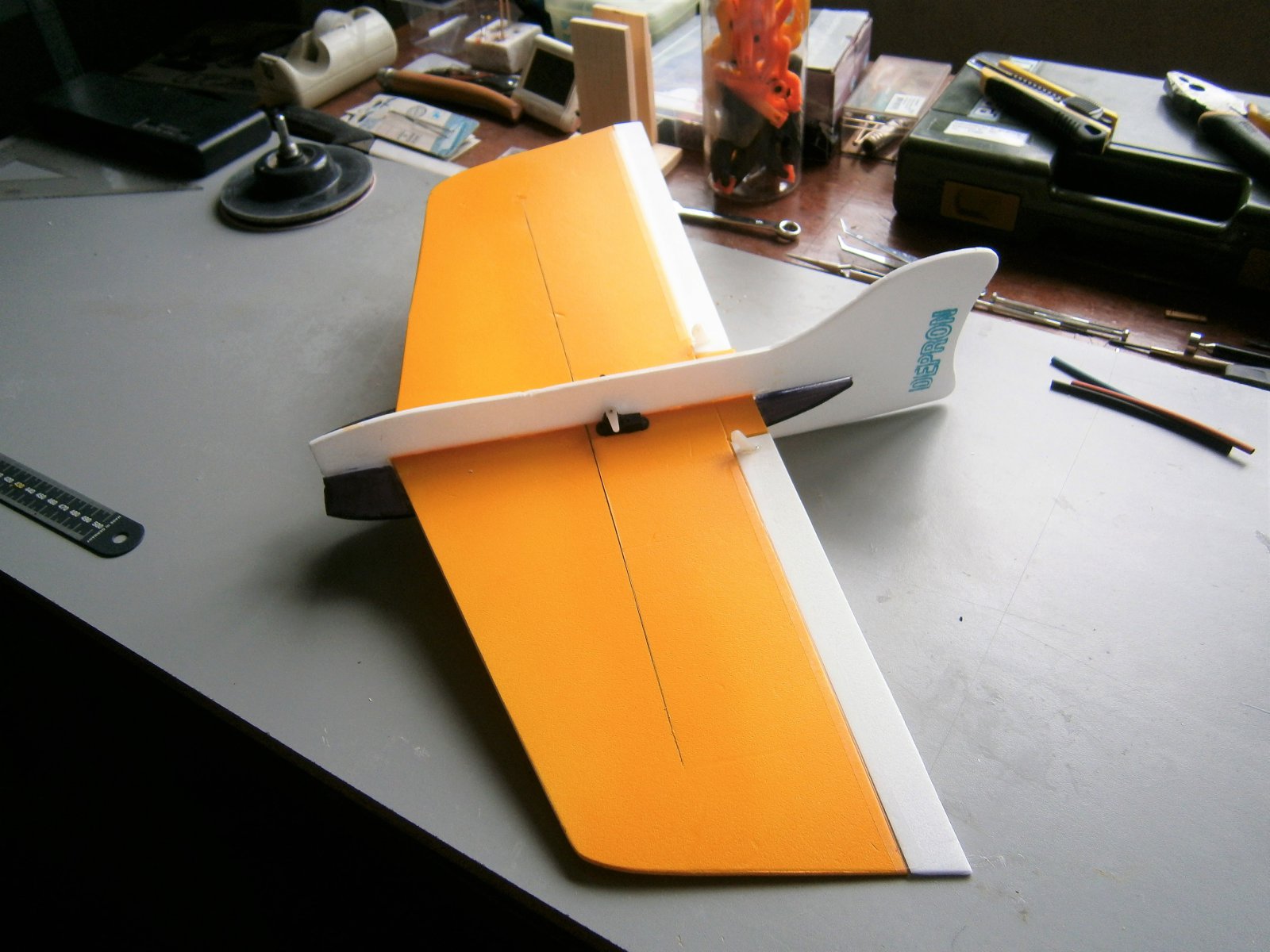P5200002 (2).JPG