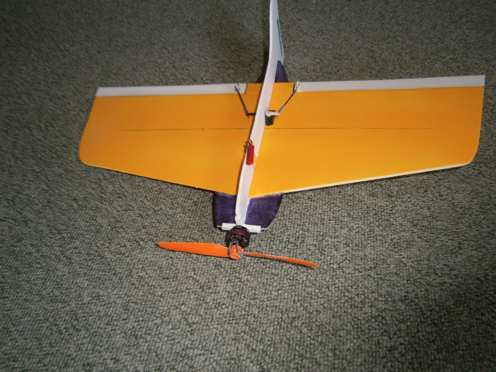 P5210002.JPG