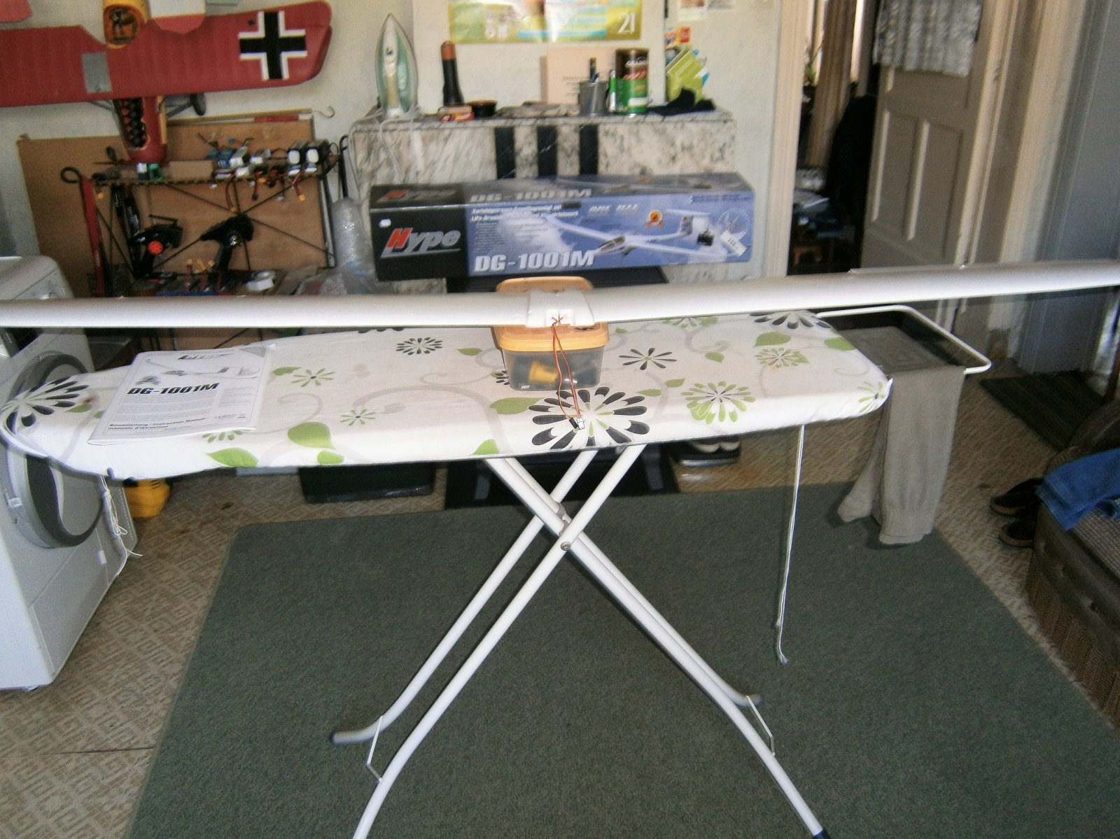 P6070003 (2).JPG