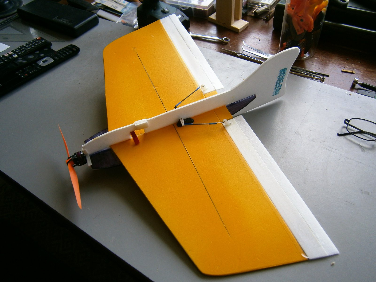 P6260001 (3).JPG