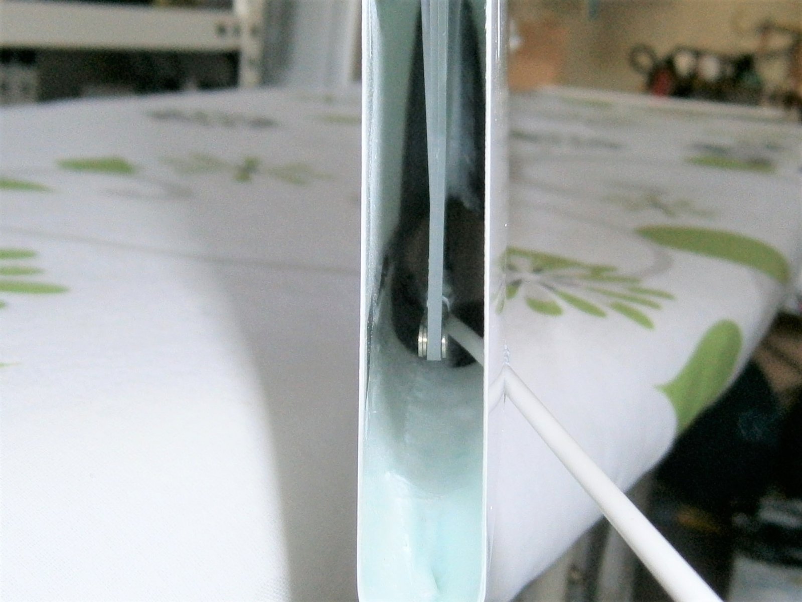 P8310001 (2).JPG