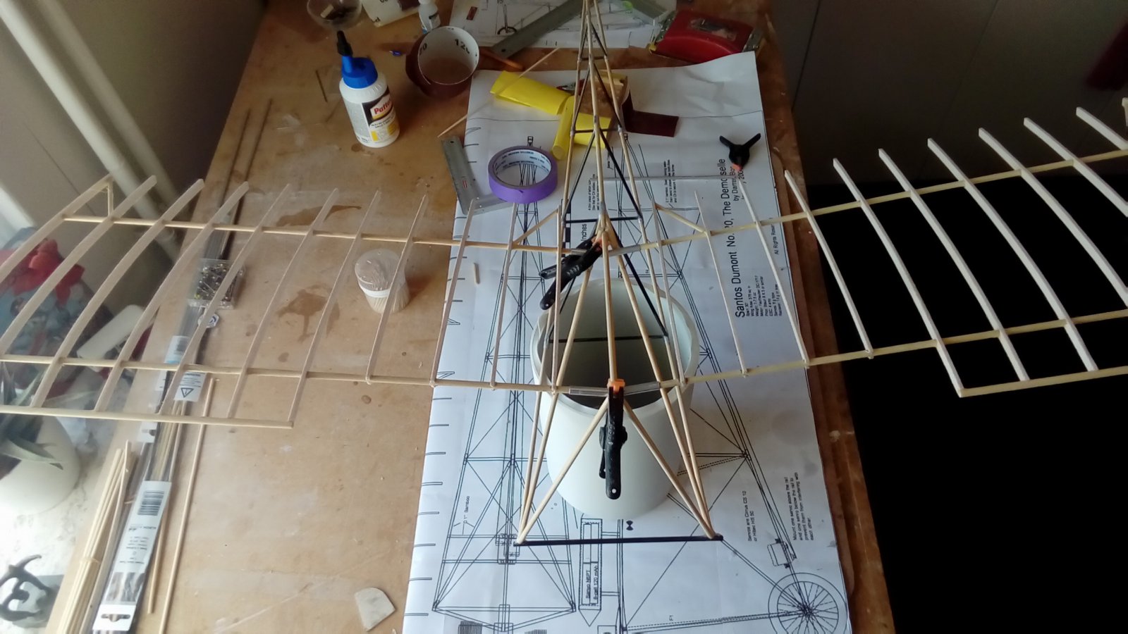 P_20210825_102956.jpg