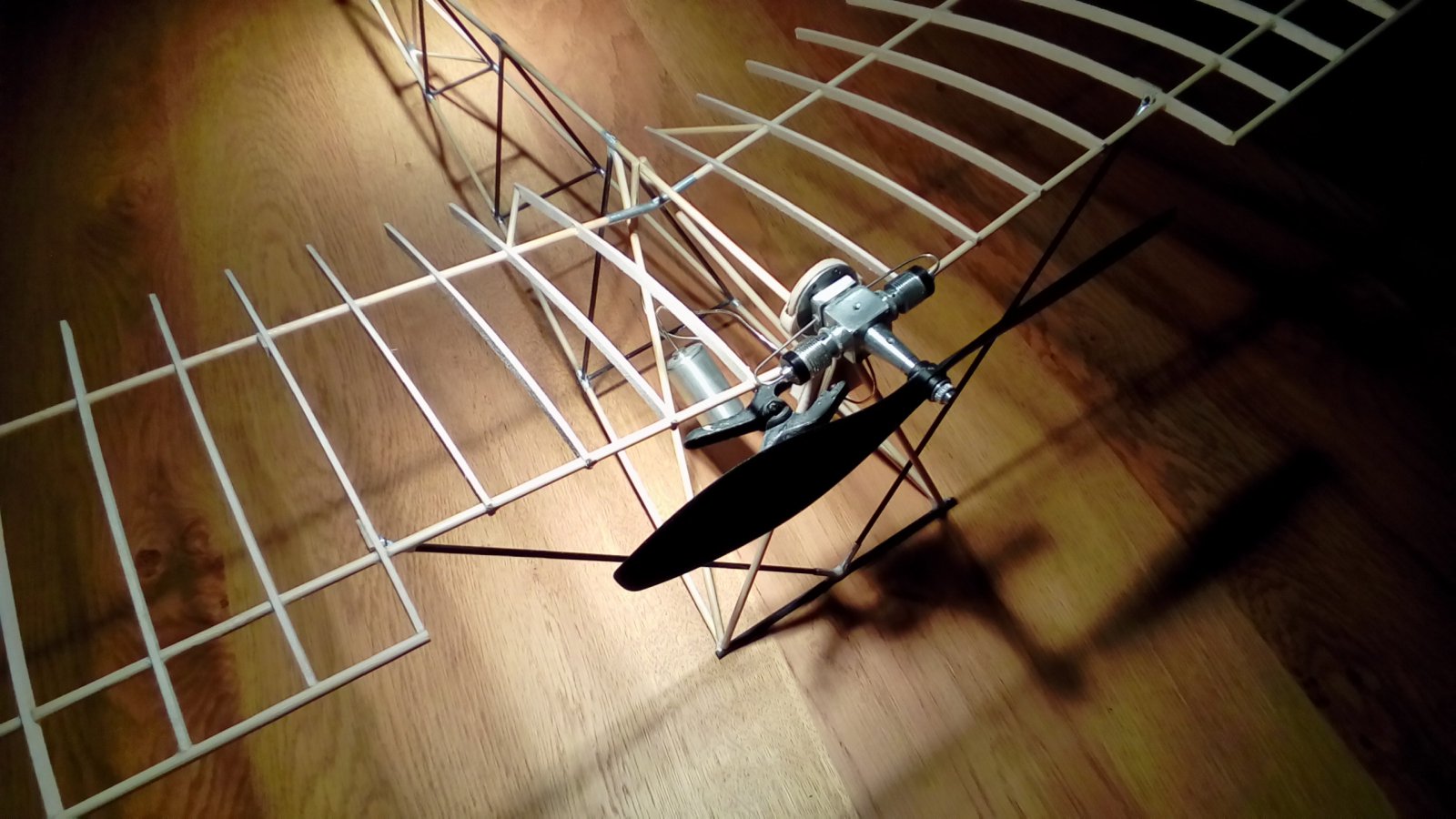 P_20210831_211917.jpg