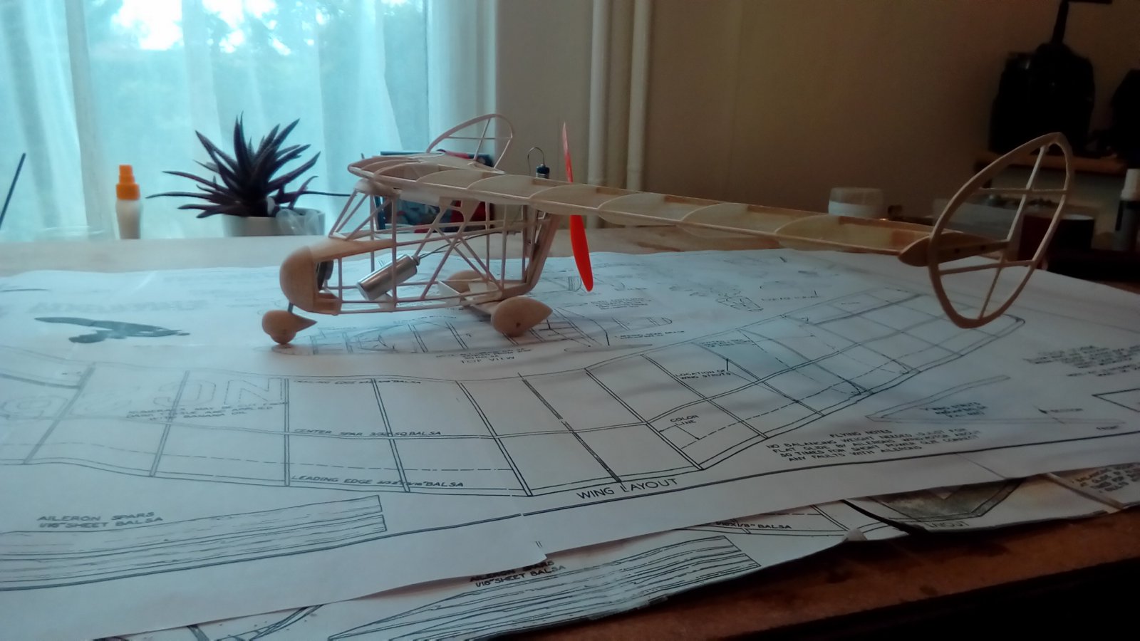 P_20221013_161823.jpg