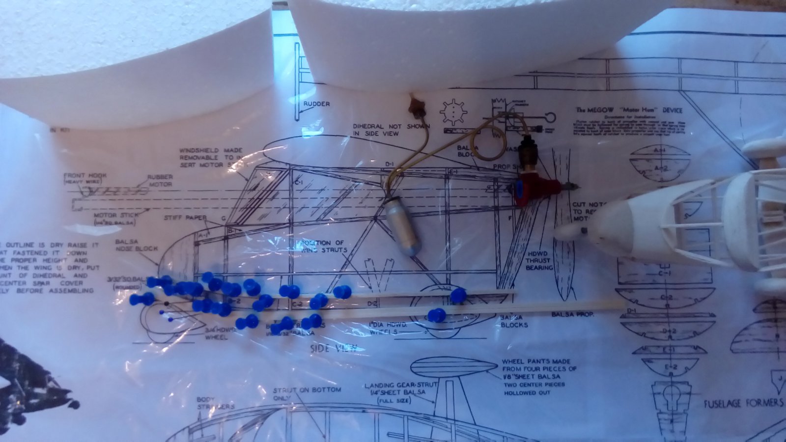 P_20221016_150033.jpg