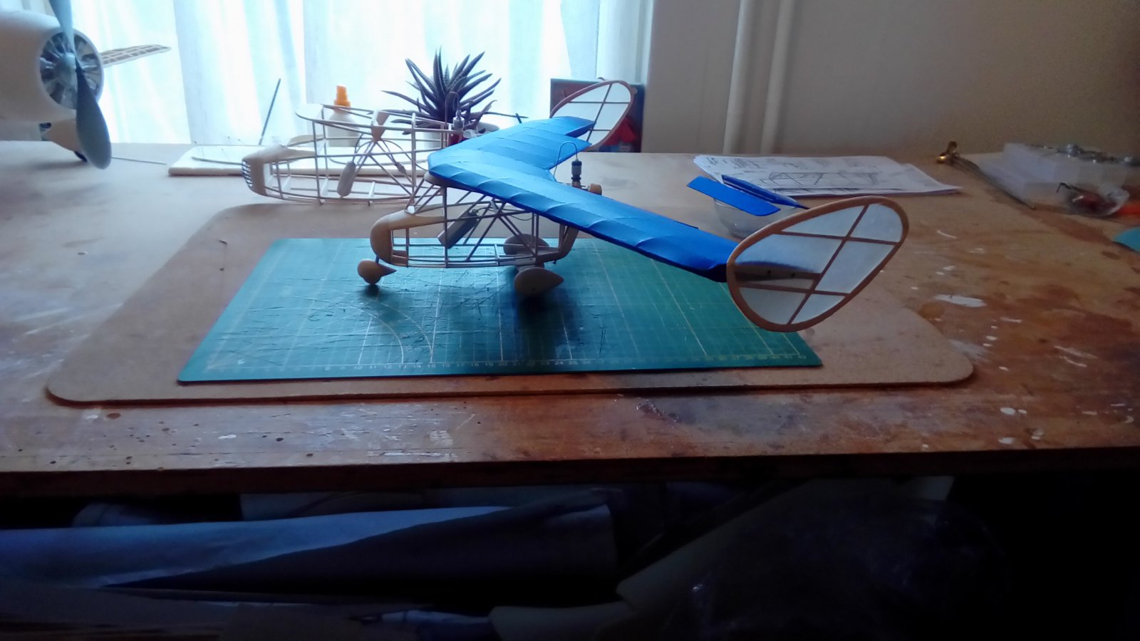 P_20221106_142252.jpg
