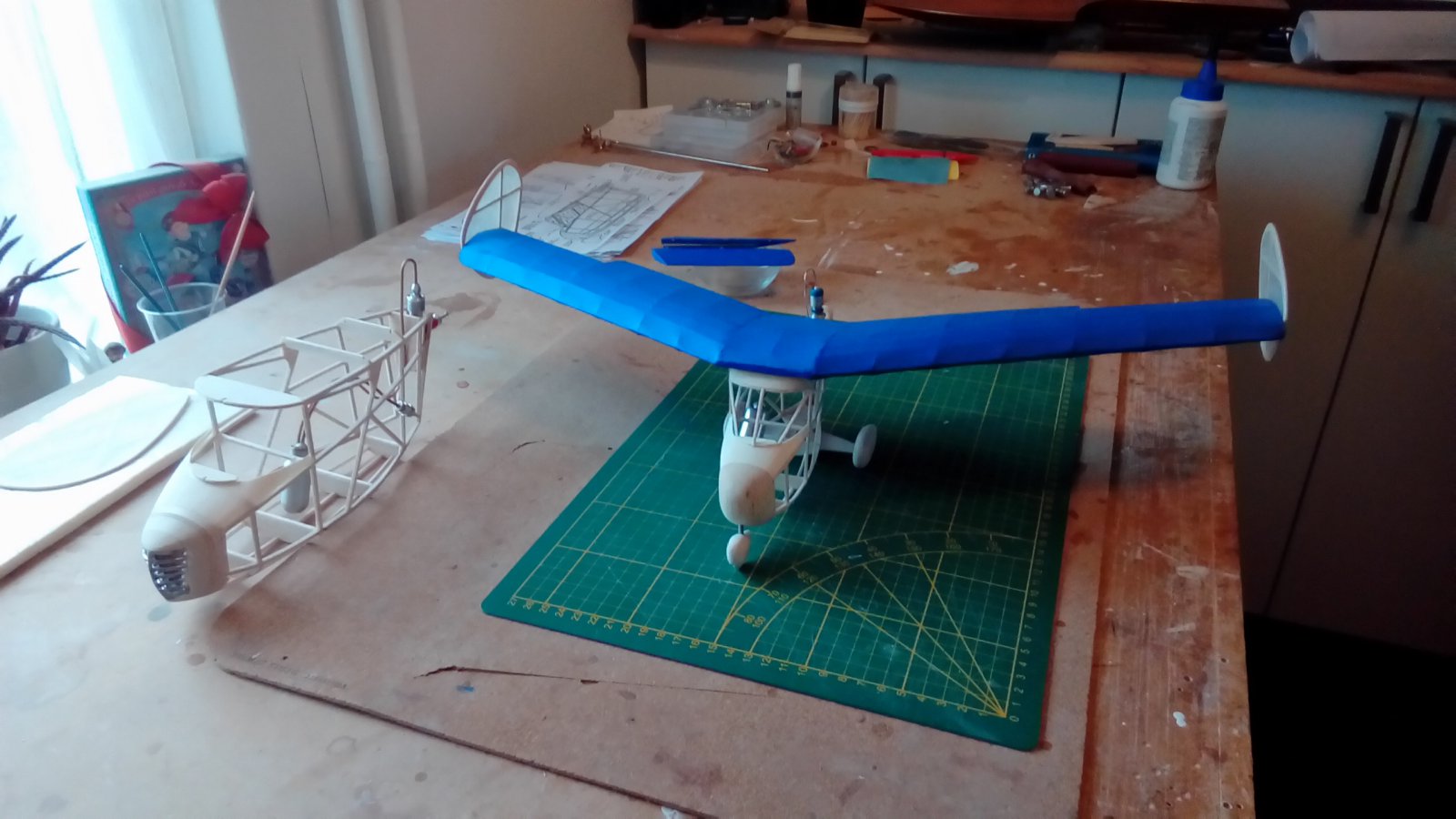 P_20221106_142351.jpg