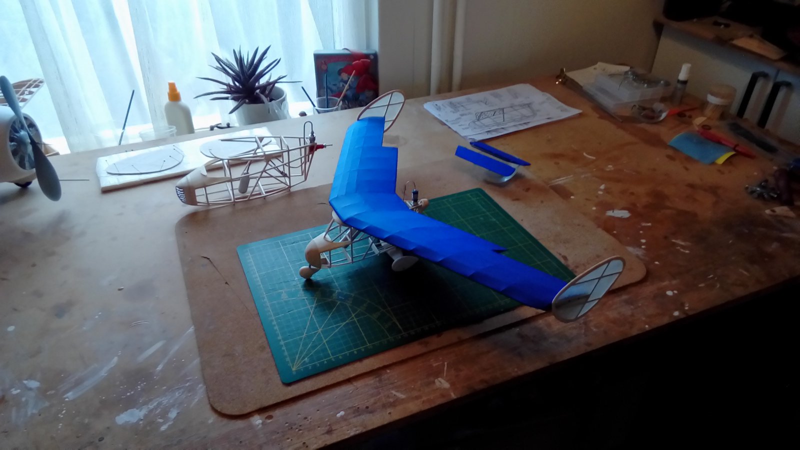 P_20221106_142359.jpg