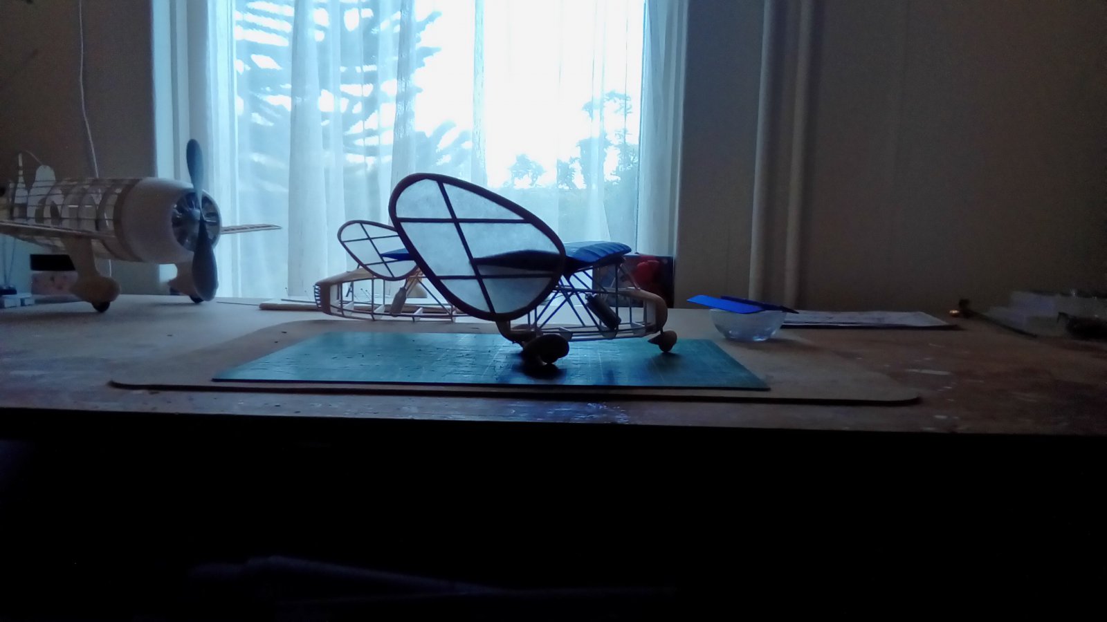 P_20221106_142518.jpg