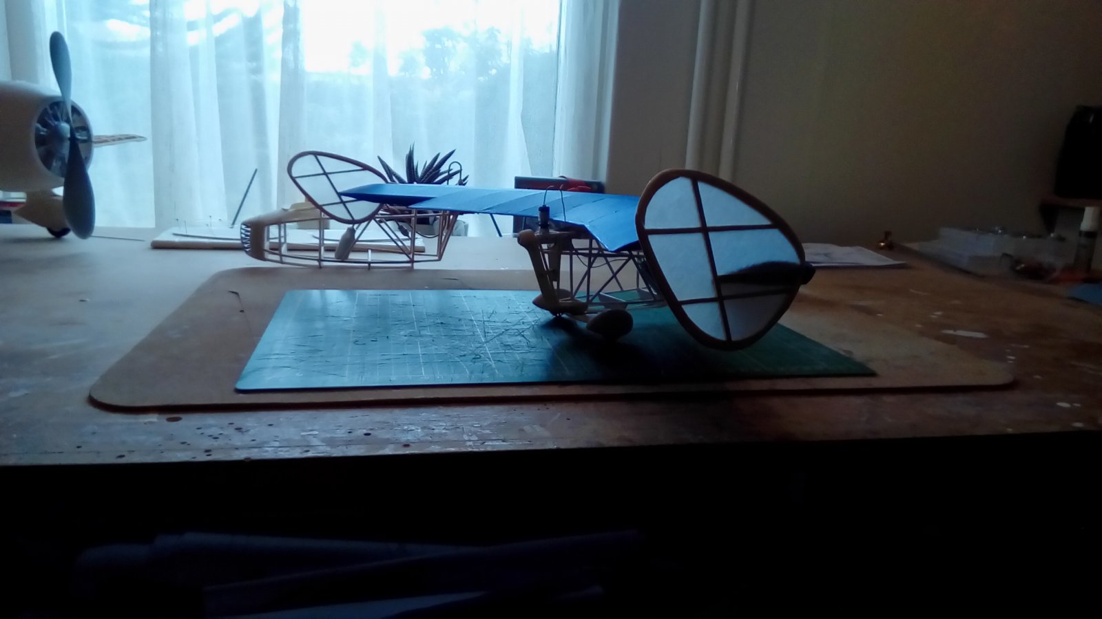 P_20221106_142524.jpg