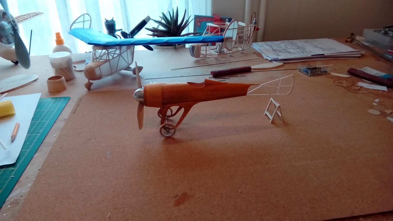 P_20221218_115652.jpg