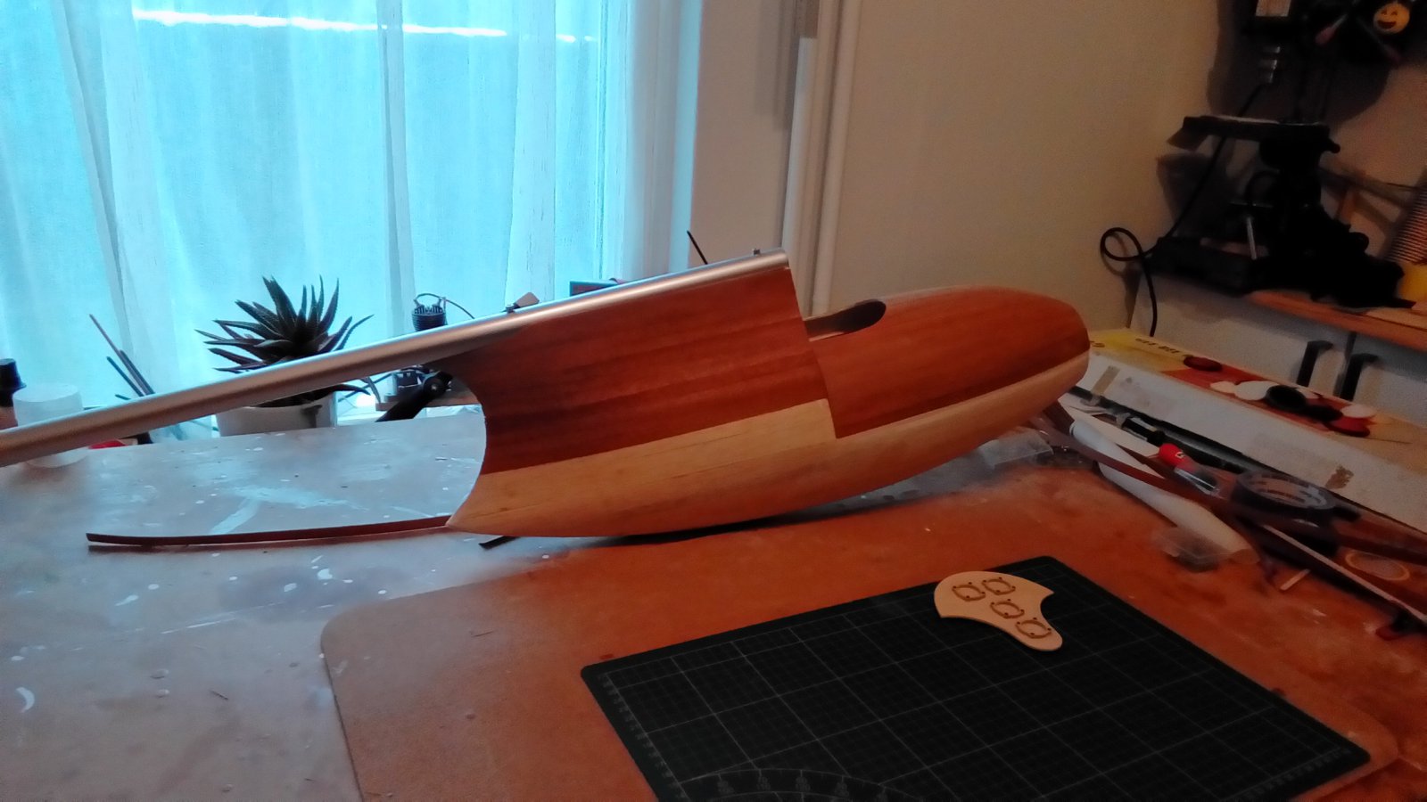P_20231205_103623.jpg