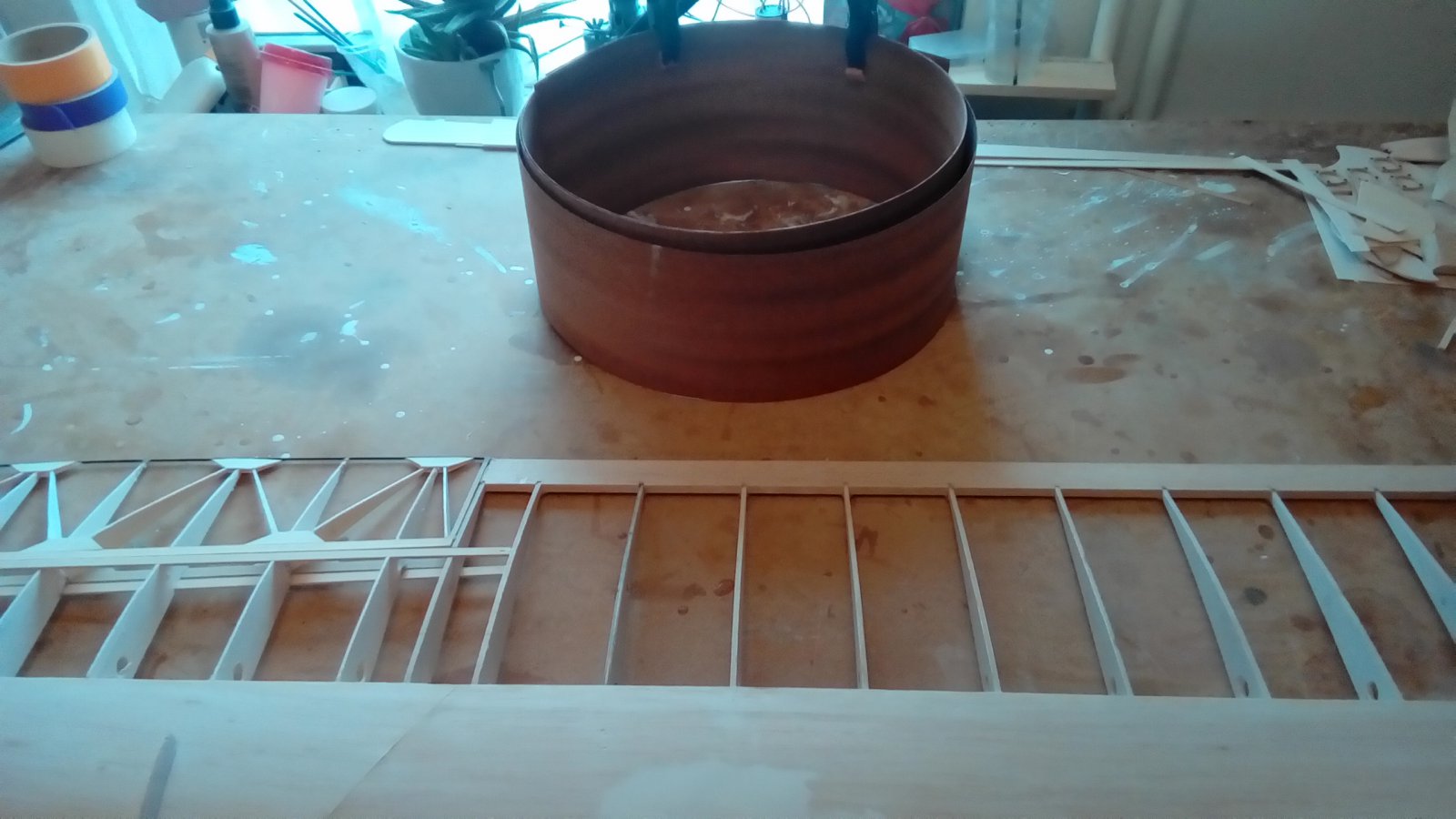 P_20240121_115003.jpg