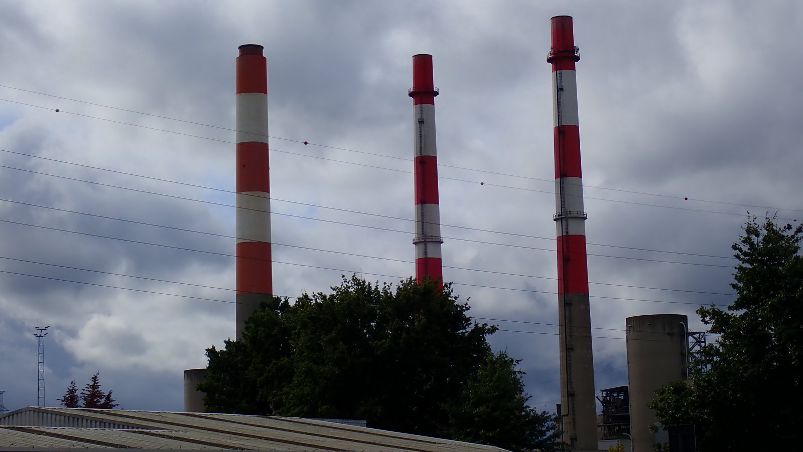 PA020506.JPG