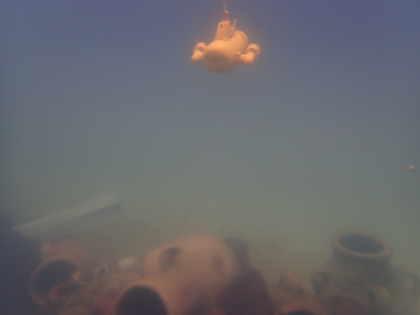 PA020887.JPG