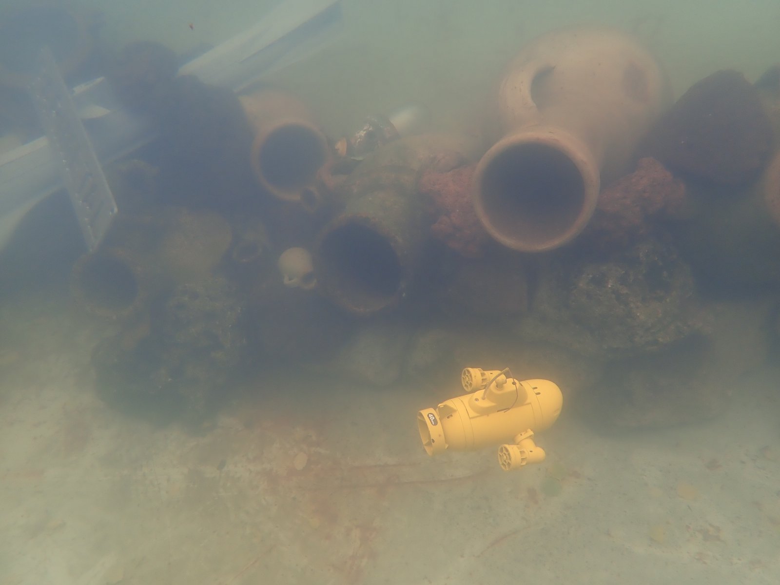 PA020903.JPG