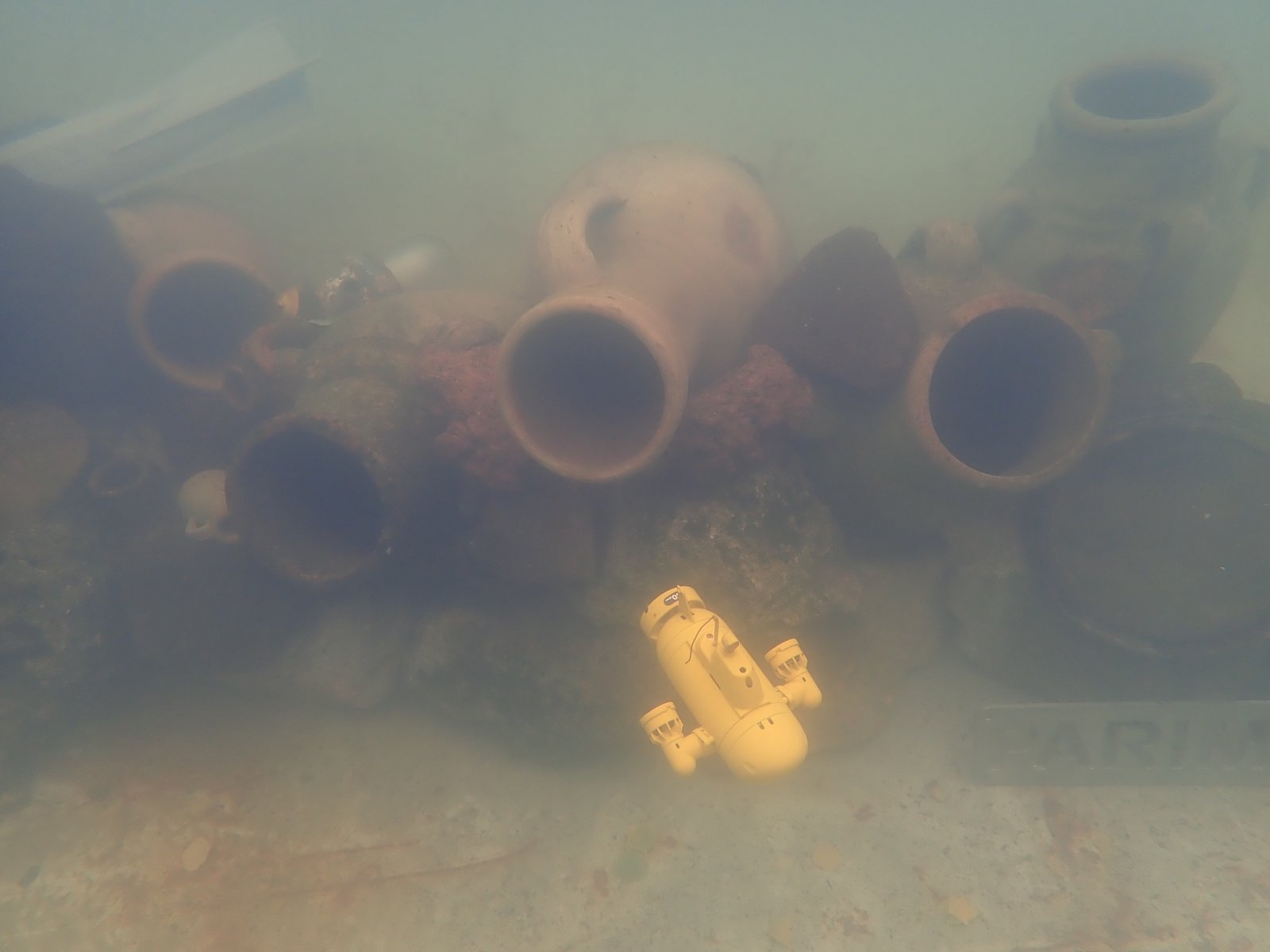 PA020905.JPG