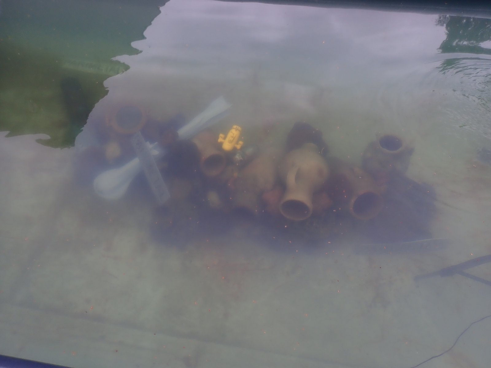 PA020920.JPG