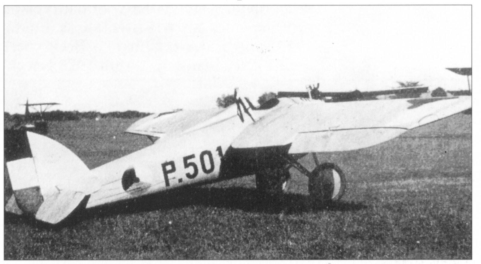 pander d 14.jpg