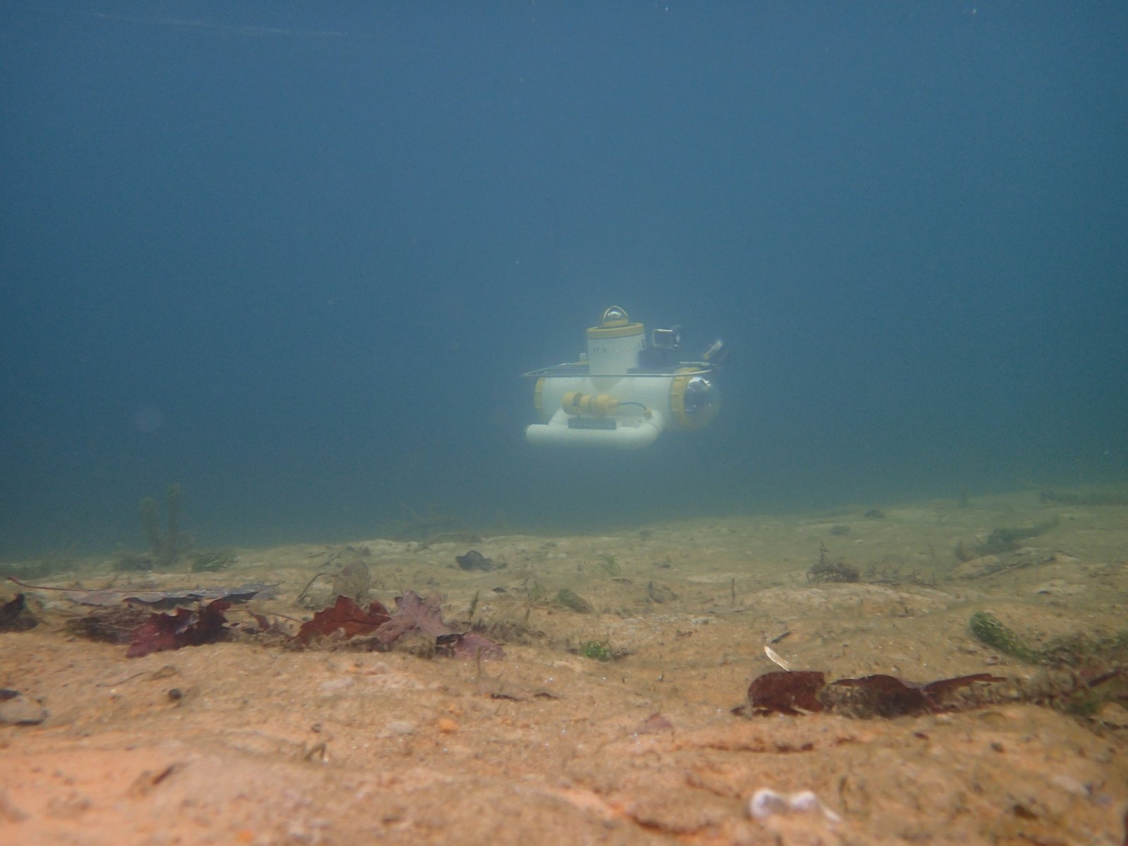 PB120013.JPG