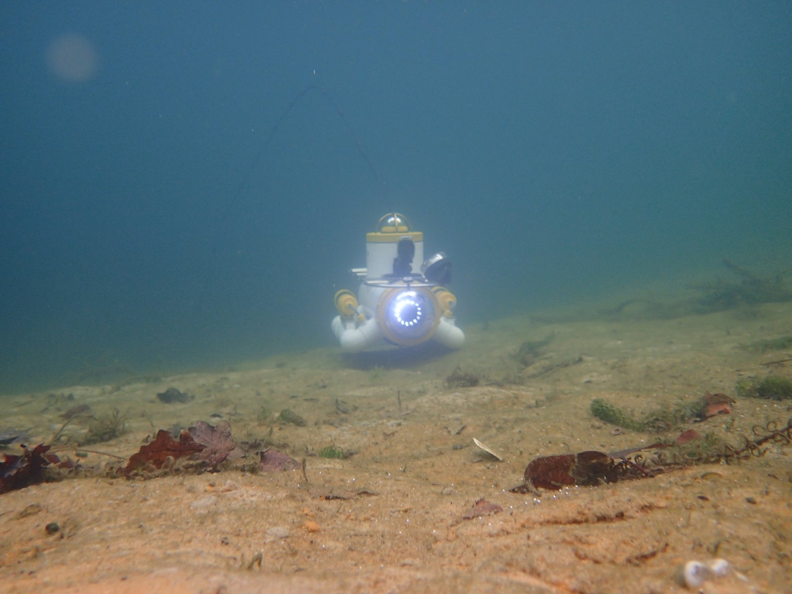 PB120016.JPG
