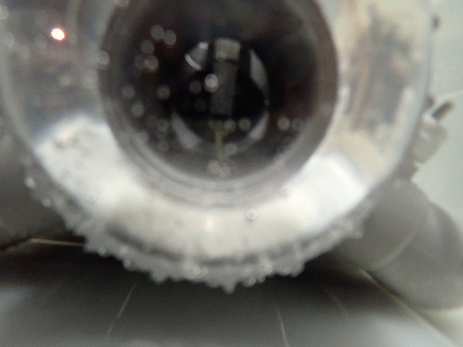 PC011839.JPG