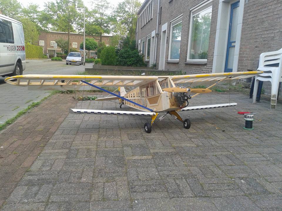 pipercub5.jpg