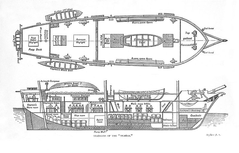Plan_of_the_Beagle_Wellcome_L0003832.jpg