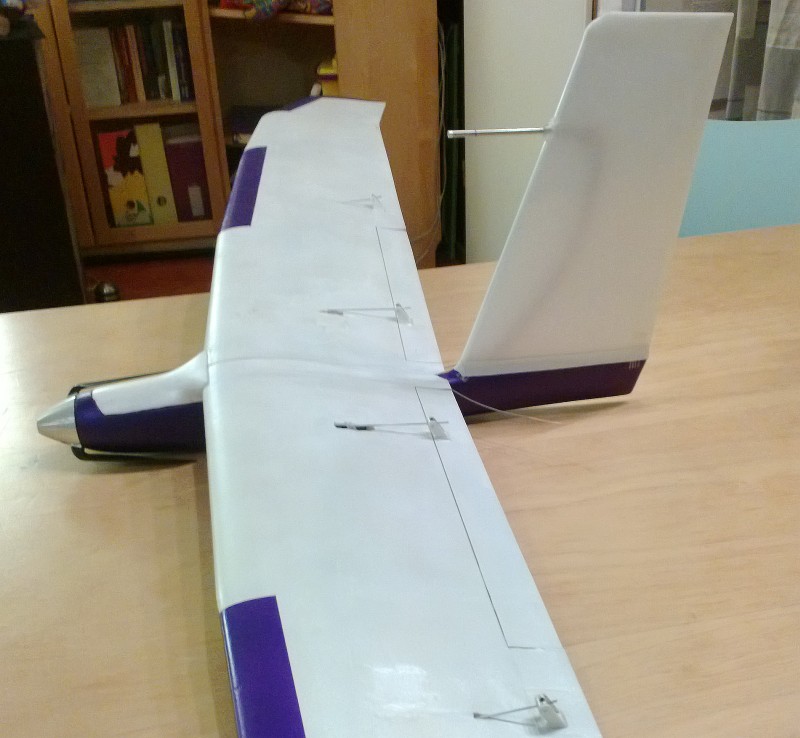plankie .jpg