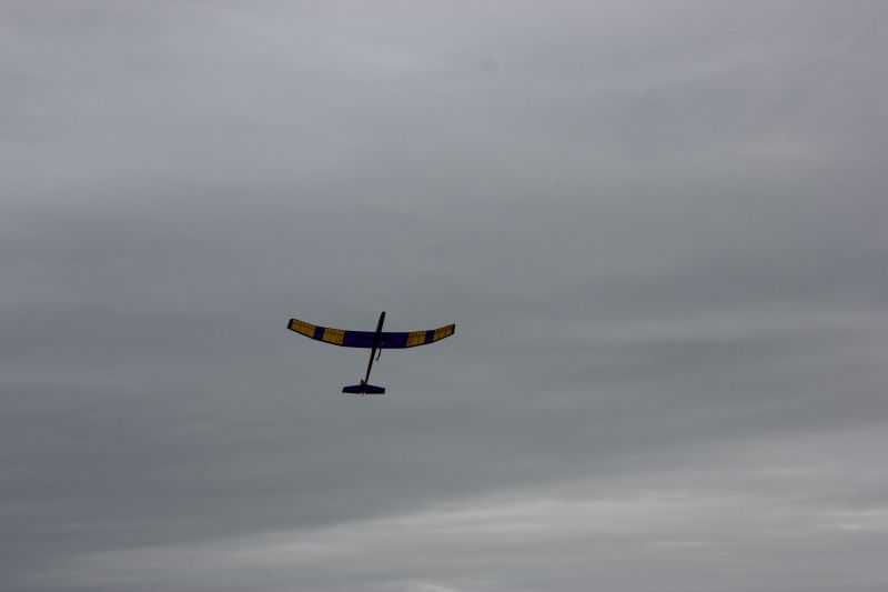 RES-Eagle (42).JPG