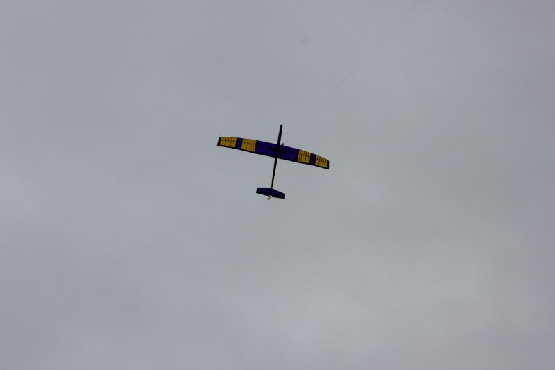 RES-Eagle (44).JPG