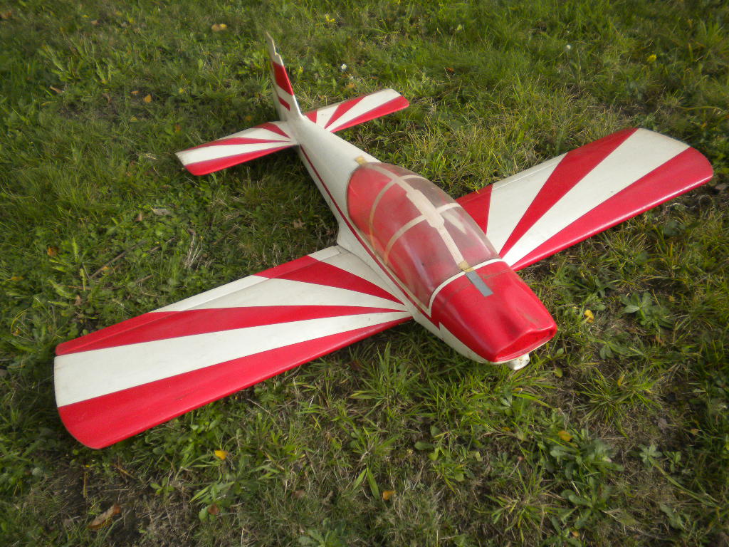 Robbe robin 2160.JPG