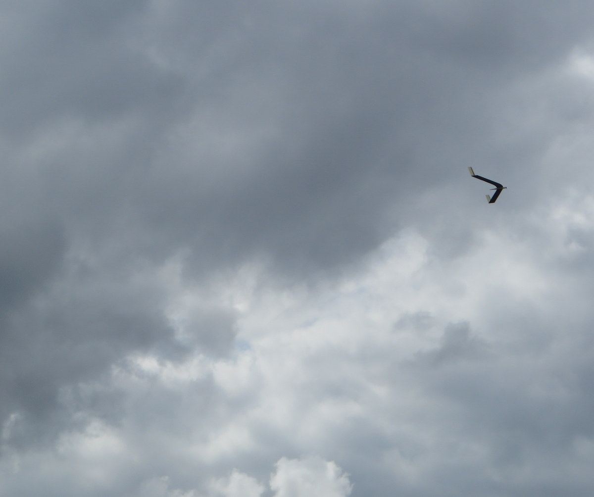 roissard in de lucht.JPG