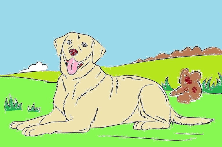 ruftlabrador.jpg