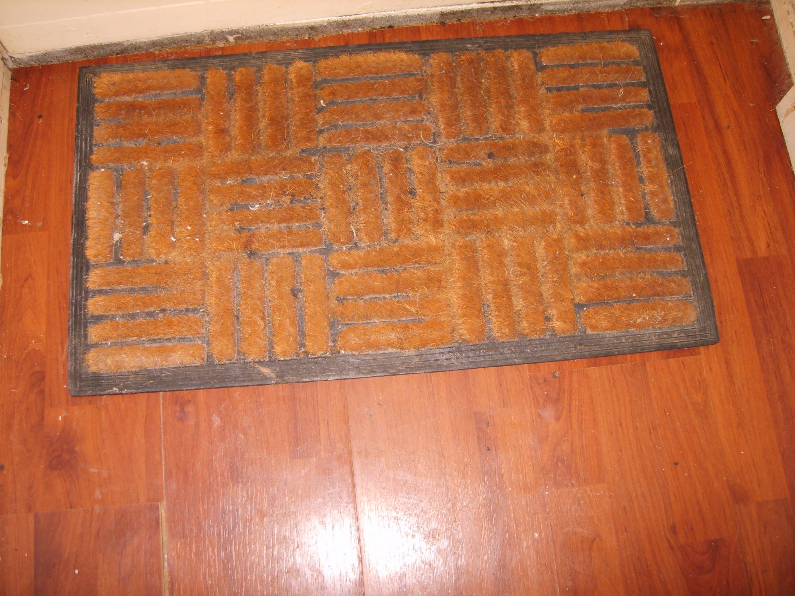 S8300020.JPG