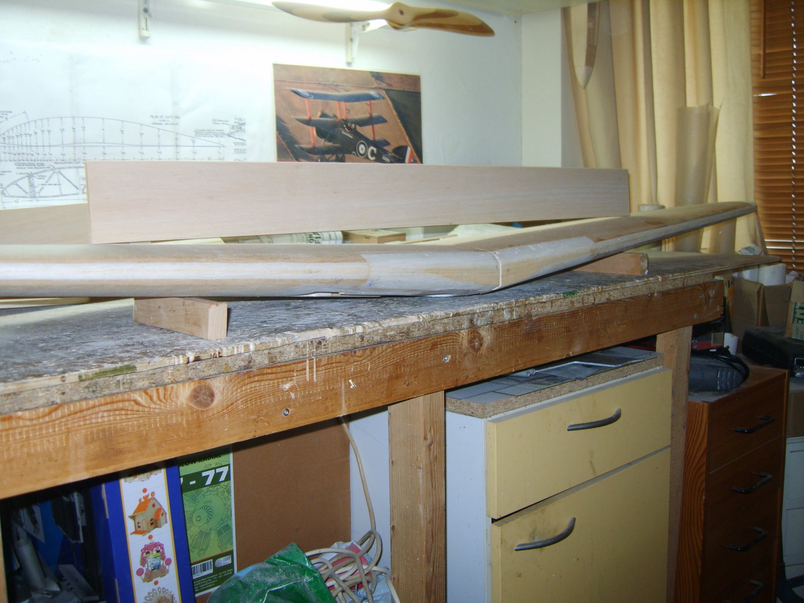 S8300029.JPG