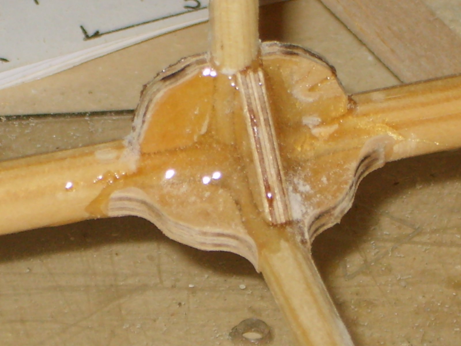 S8300038.JPG