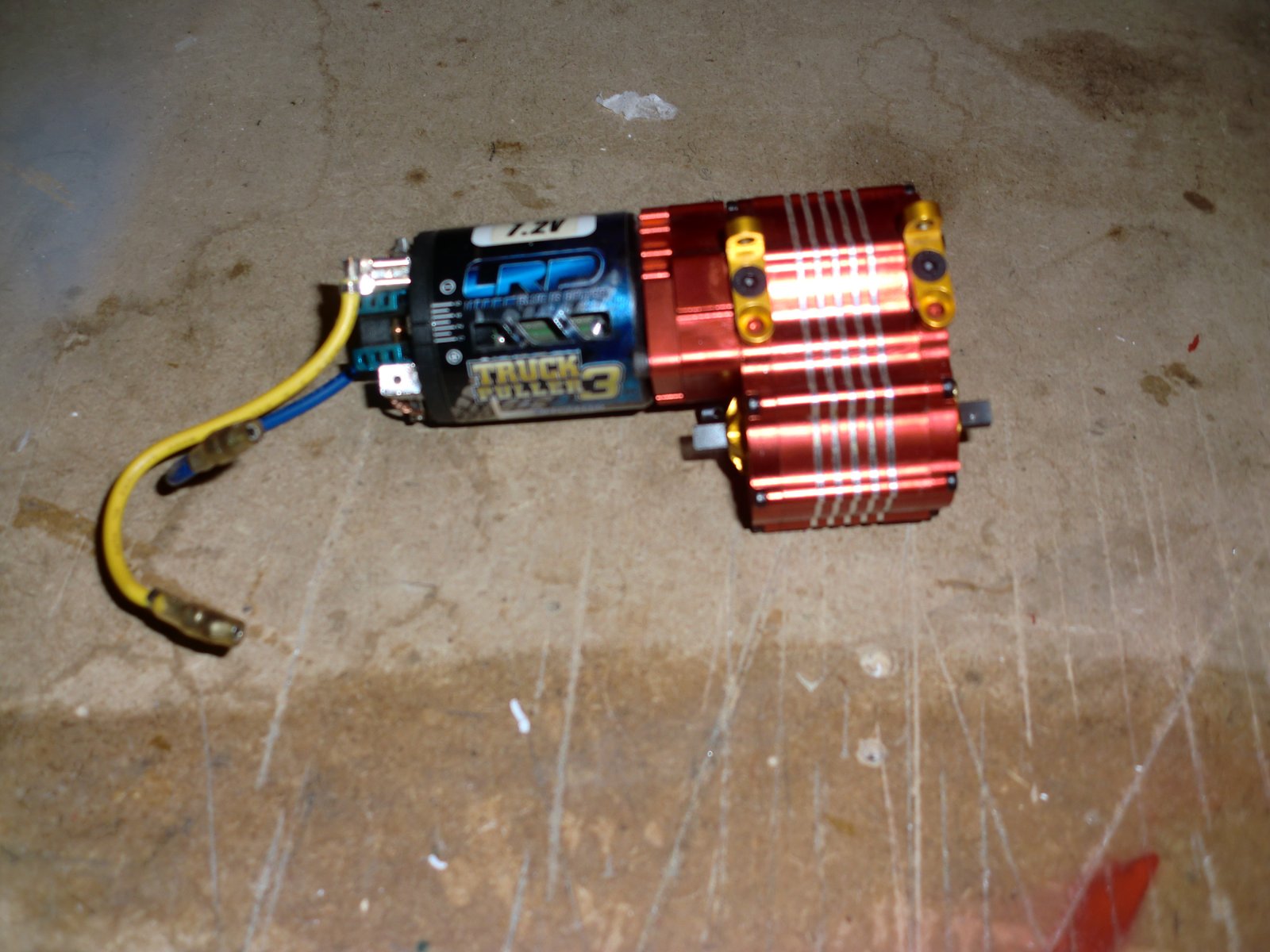 sca 003.JPG