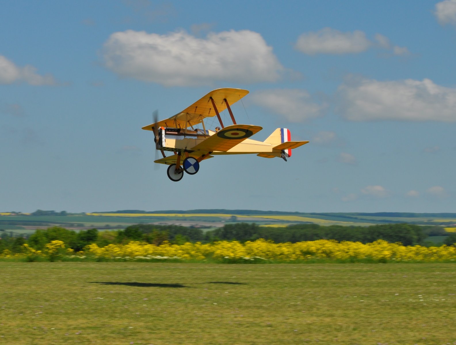 Se5a Bad L.JPG