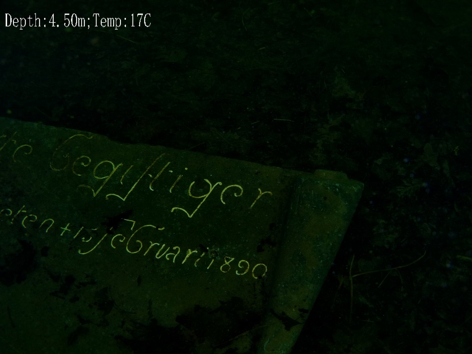 SING0115.JPG
