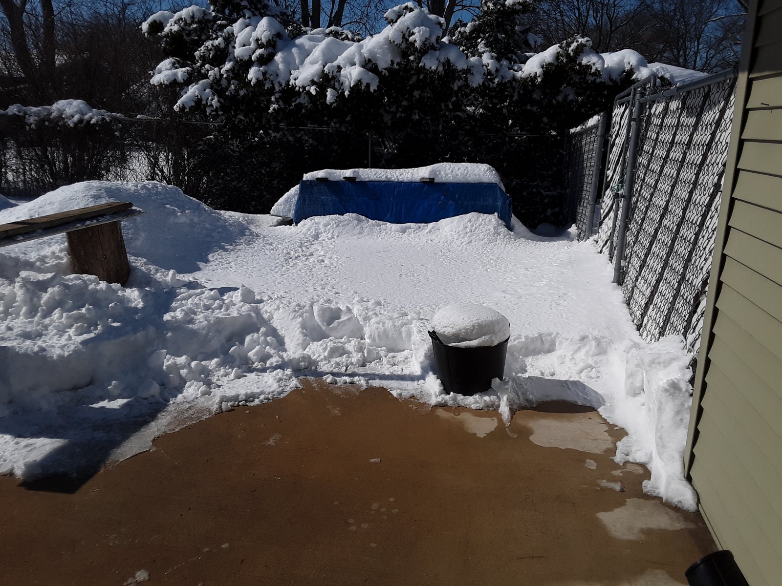 Snow 2ft - 60cm 2.jpg