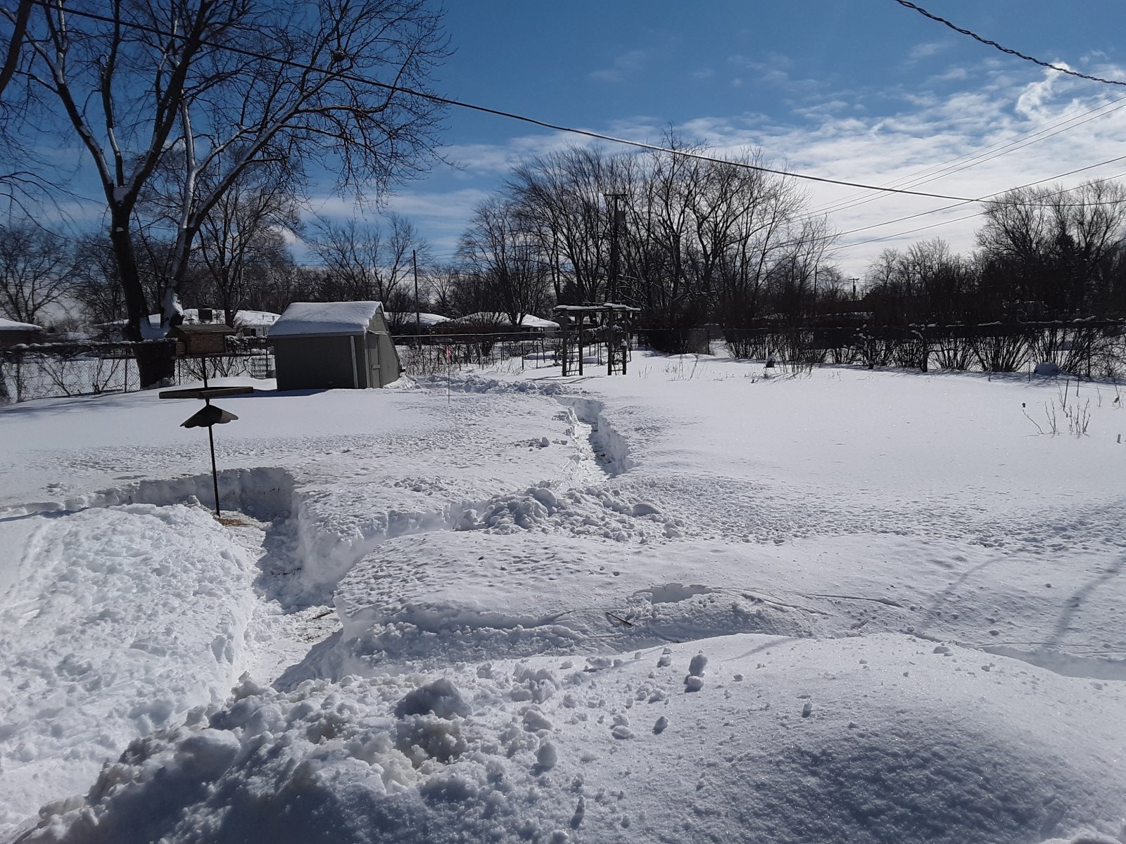 Snow 2ft - 60cm 3.jpg