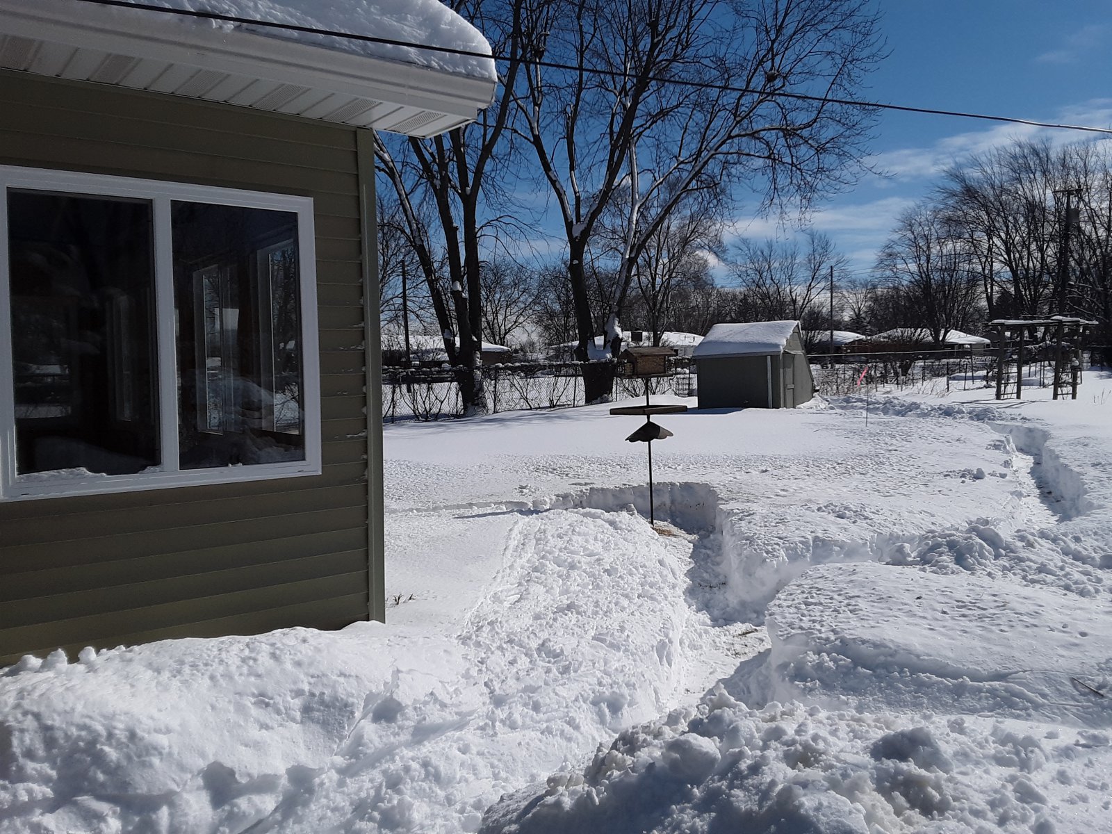 Snow 2ft - 60cm 4.jpg