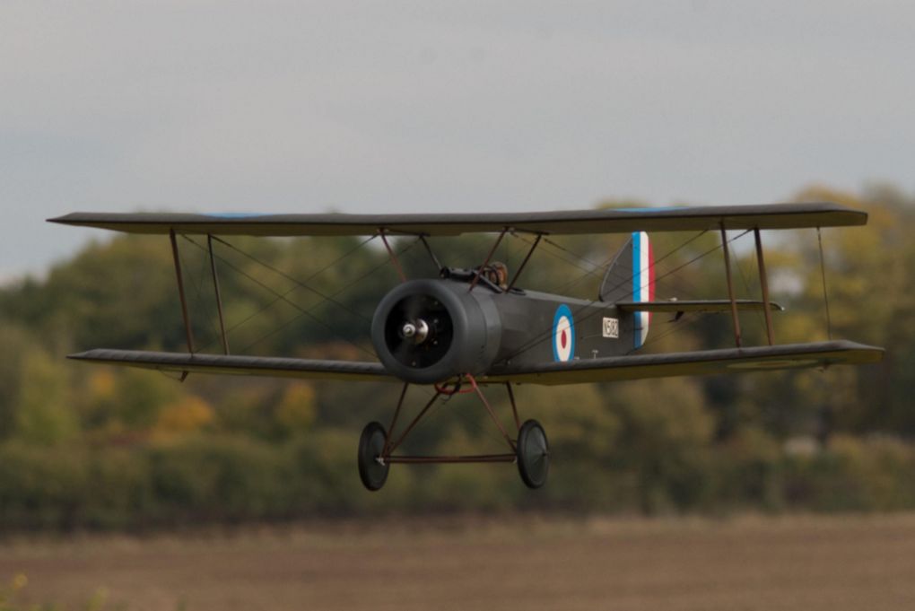 Sopwith Pupwilco.jpg