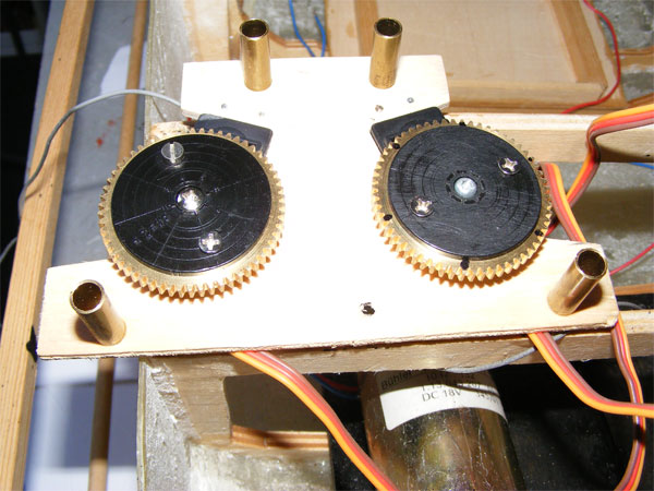 stingray_23.jpg