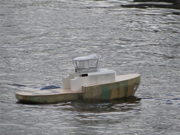 stingray_31.jpg