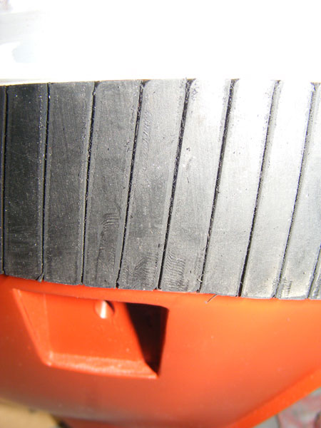 stingray_51.jpg