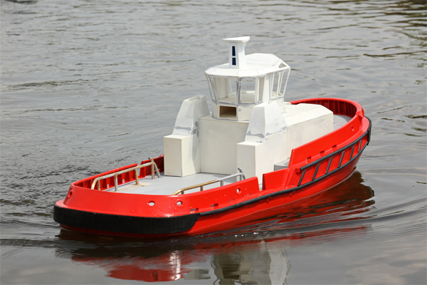 stingray_65.jpg