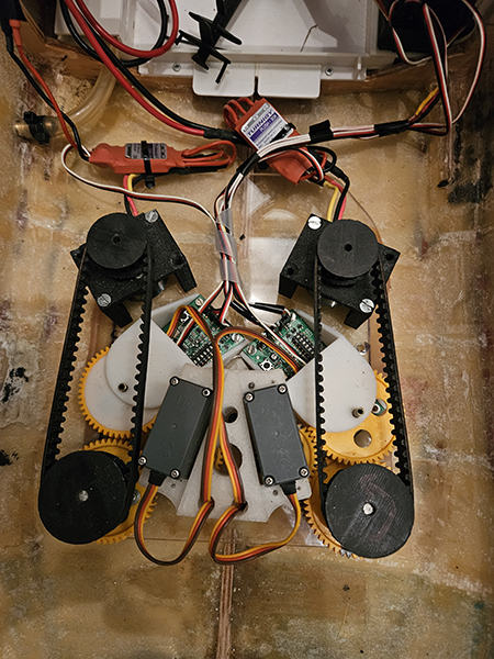 stingray_78.jpg